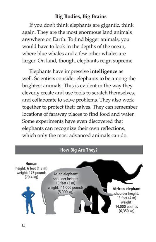 Elephants Giant Mammals绘本故事第3页
