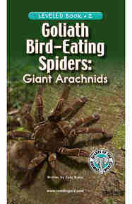Goliath Bird Eating Spiders Giant Arachnids