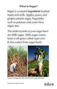 Sugar,Sugar,Everywhere绘本故事第4页