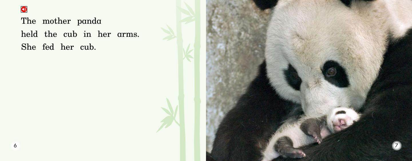 A Party for Panda绘本故事第5页