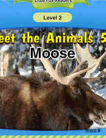 Moose
