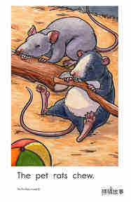 The Pet Rats绘本故事第5页