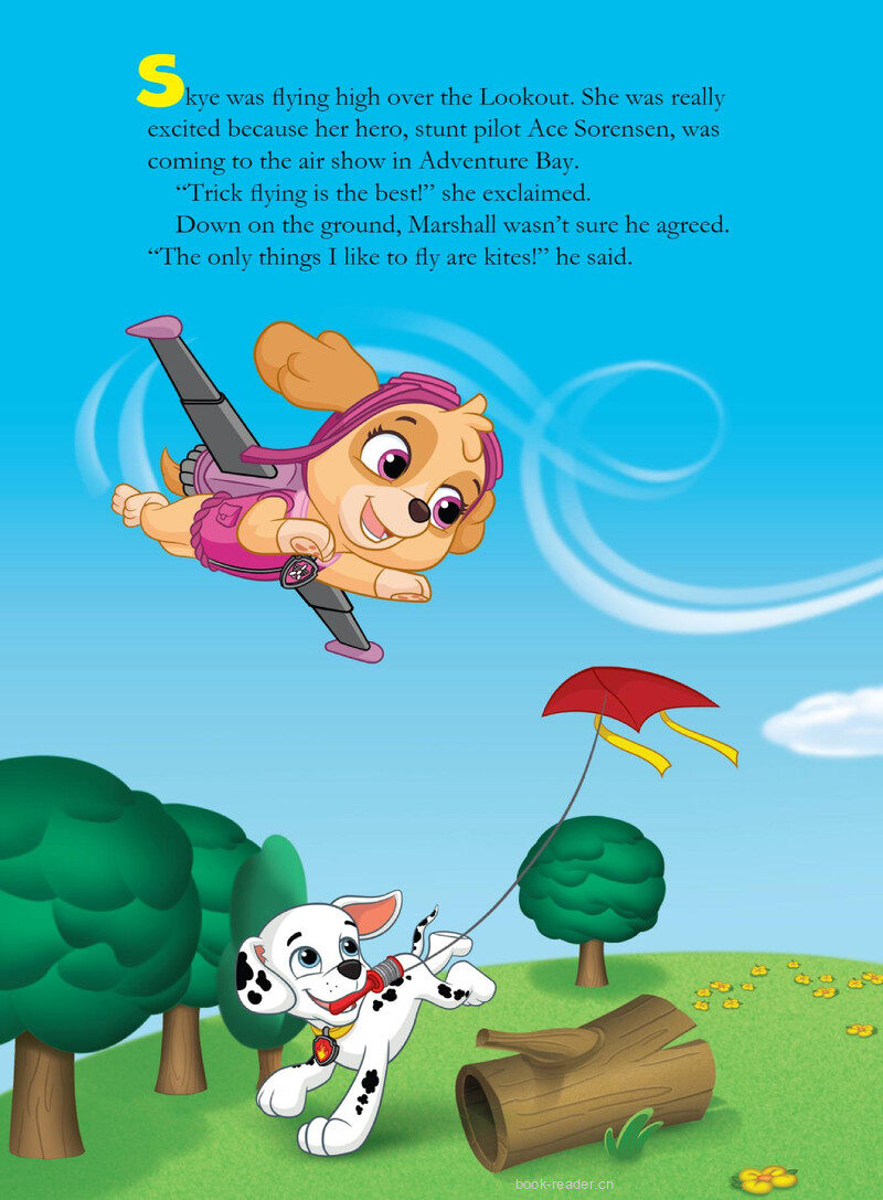 High-Flying Skye绘本故事第3页