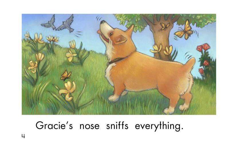 Gracie's Nose绘本故事第4页