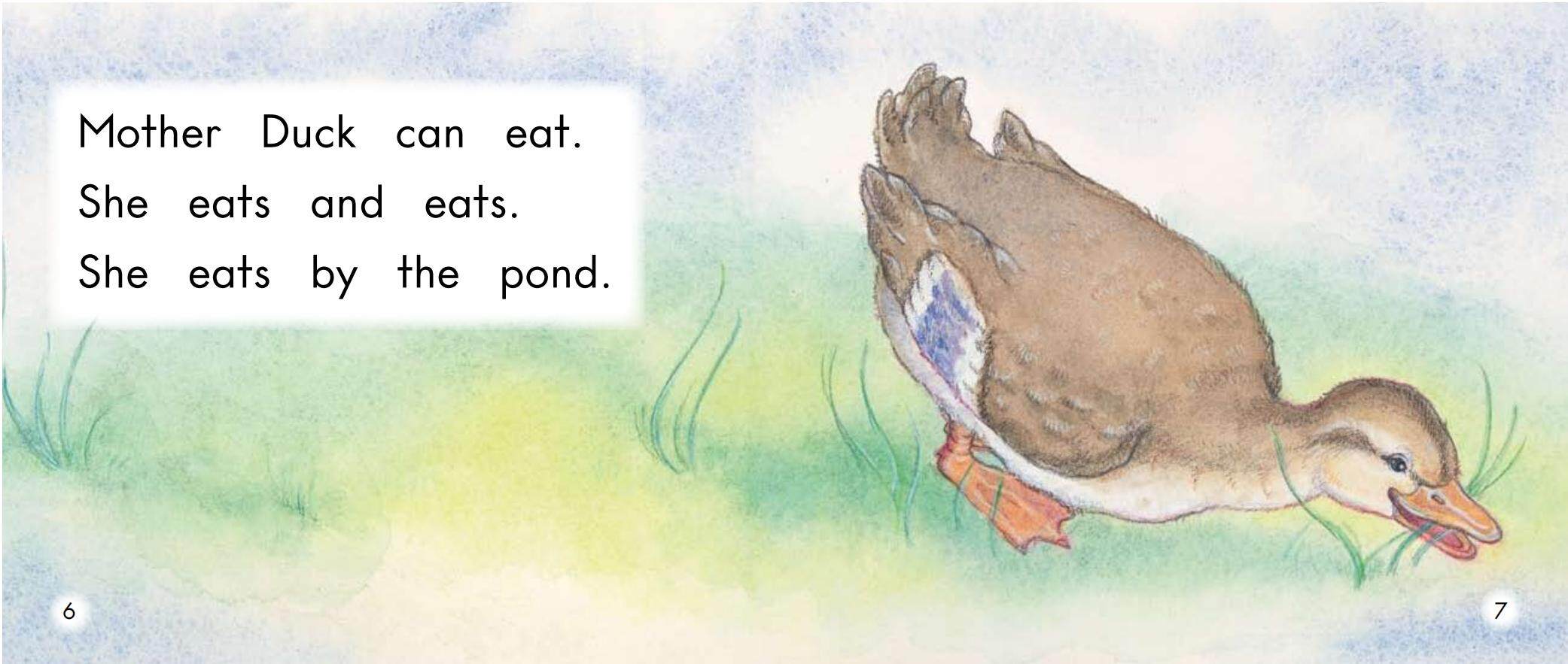 Flap, Flap, Fly绘本故事第5页