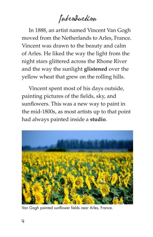 Vincent's Bedroom绘本故事第3页