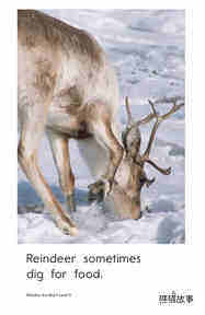 Reindeer Are Real绘本故事第5页