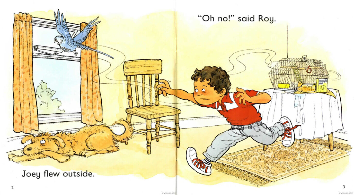Roy and the Budgie绘本故事第4页