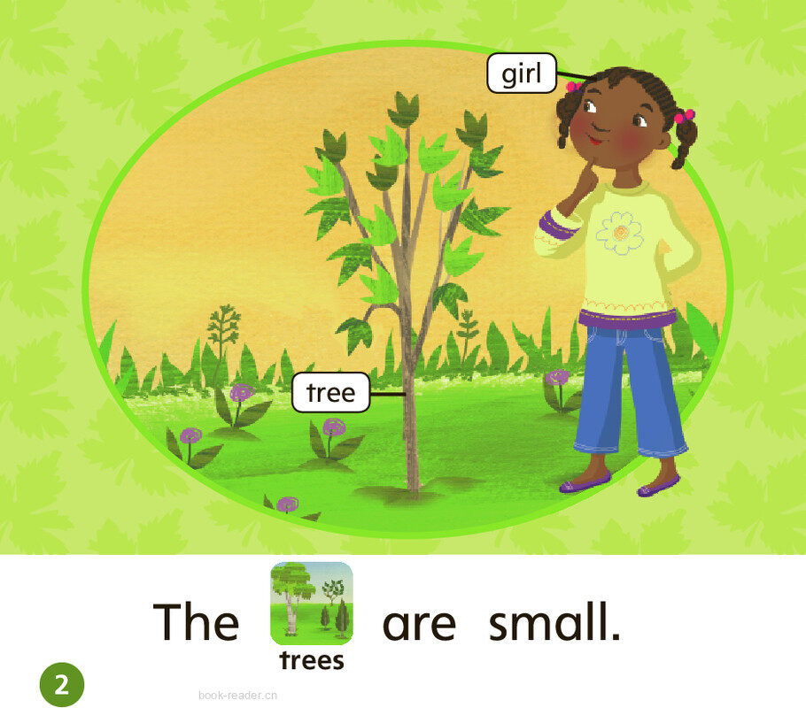 GK ELL U05W2 Many Trees绘本故事第3页