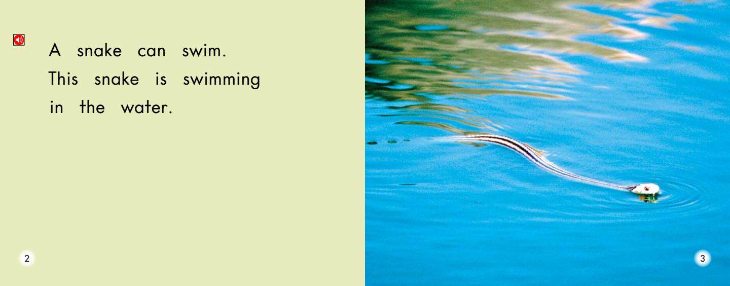 All About Snakes绘本故事第3页