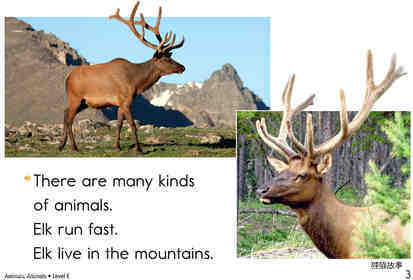 Animals,Animals	绘本故事第3页