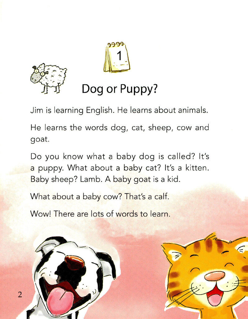 Dog or Puppy?绘本故事第3页