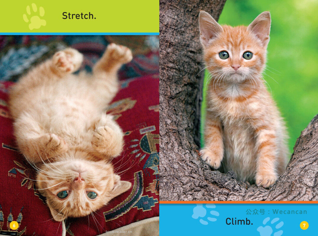 Play Kitty绘本故事第5页