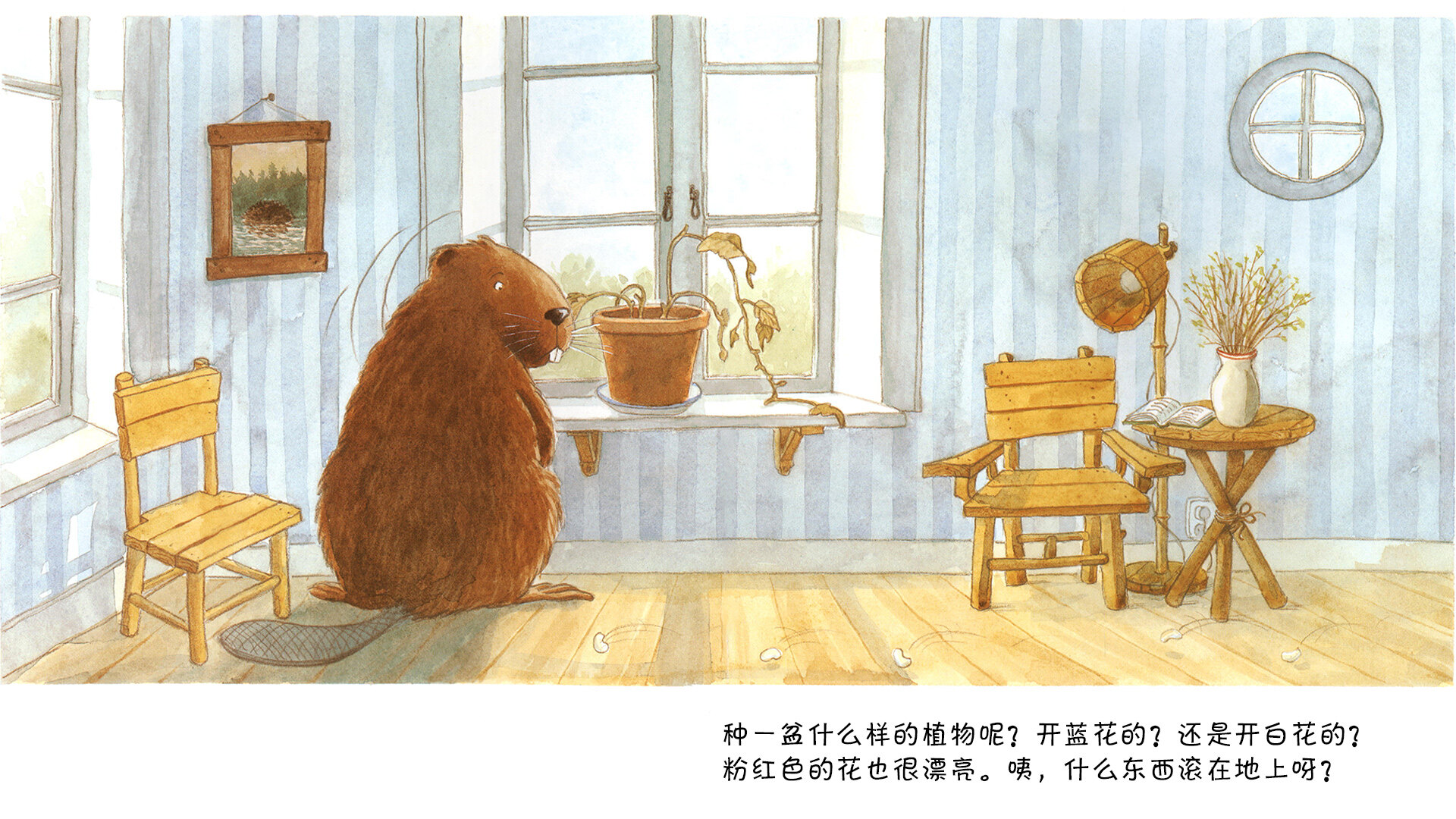 小海狸种扁豆绘本故事第4页