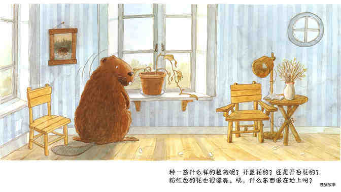 小海狸种扁豆绘本故事第4页