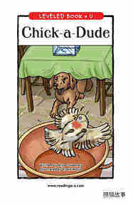 Chick a Dude