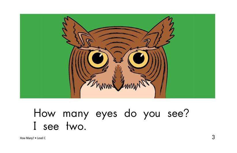 How Many绘本故事第3页