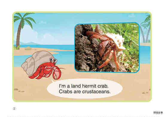 Land Hermit Crab绘本故事第3页