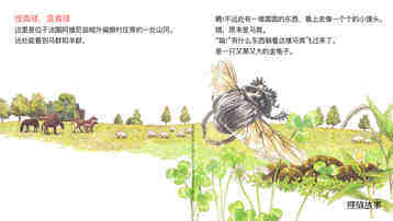 杂技演员屎壳郎绘本故事第4页
