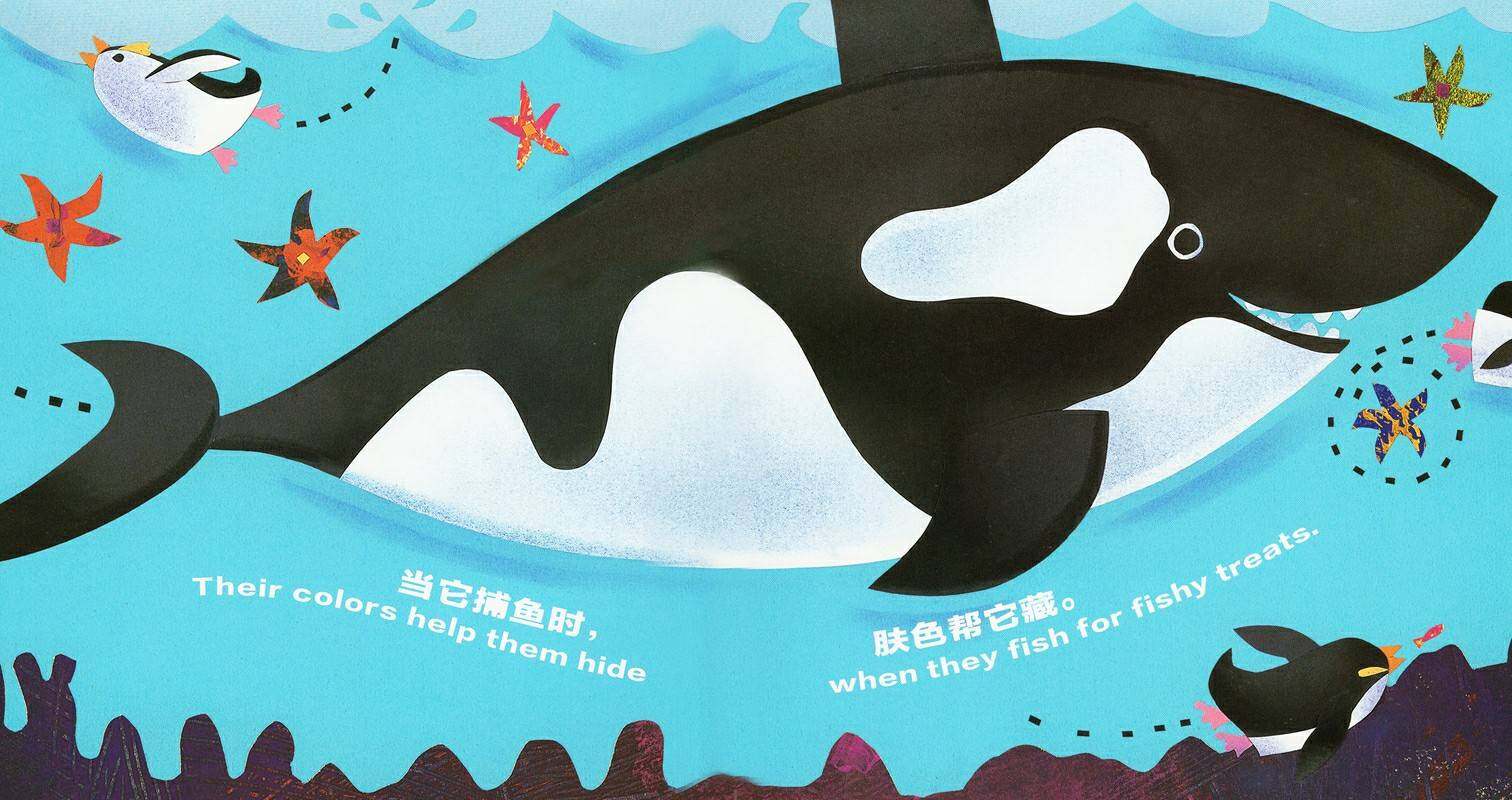 科学童谣双语绘本：企鹅!企鹅!企鹅!绘本故事第4页