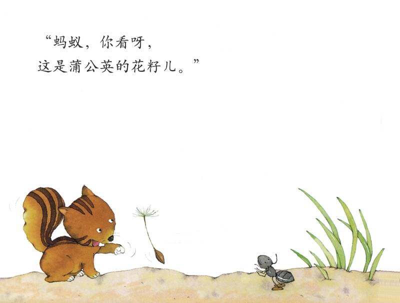 花儿怎么长大的绘本故事第2页