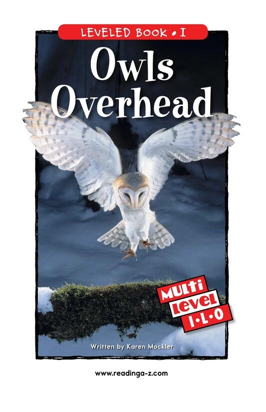 Owls Overhead绘本故事第2页
