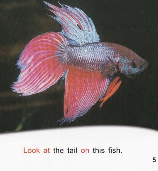 Fish facts绘本故事第5页