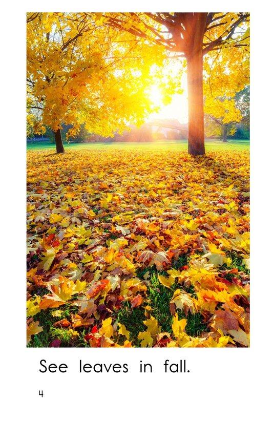 Spring and Fall绘本故事第4页