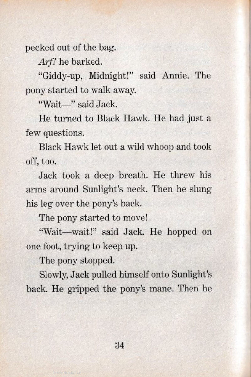 05 Sunlight and Midnight绘本故事第5页