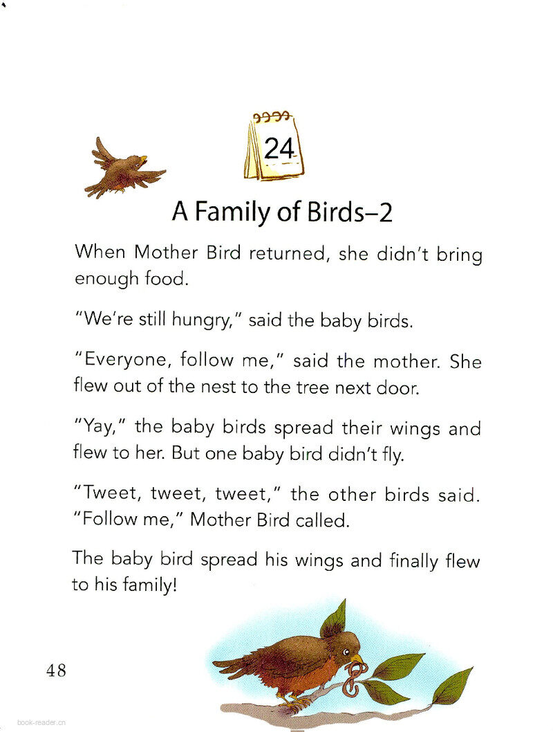 A Family of Birds-2绘本故事第2页