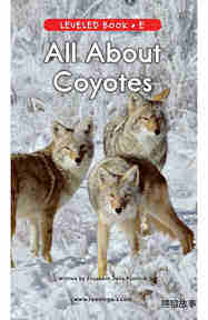 All About Coyotes