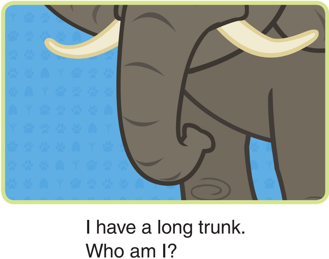 Who Am I?绘本故事第4页