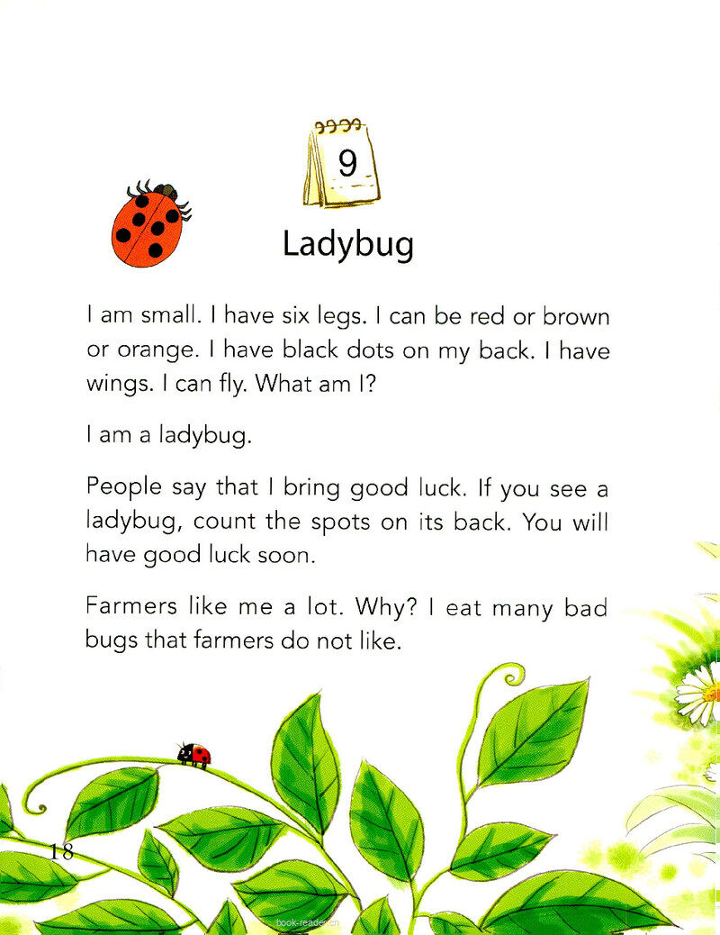Ladybug绘本故事第2页