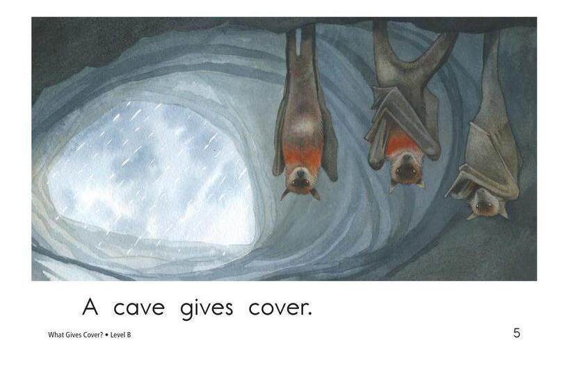 What Gives Cover绘本故事第5页