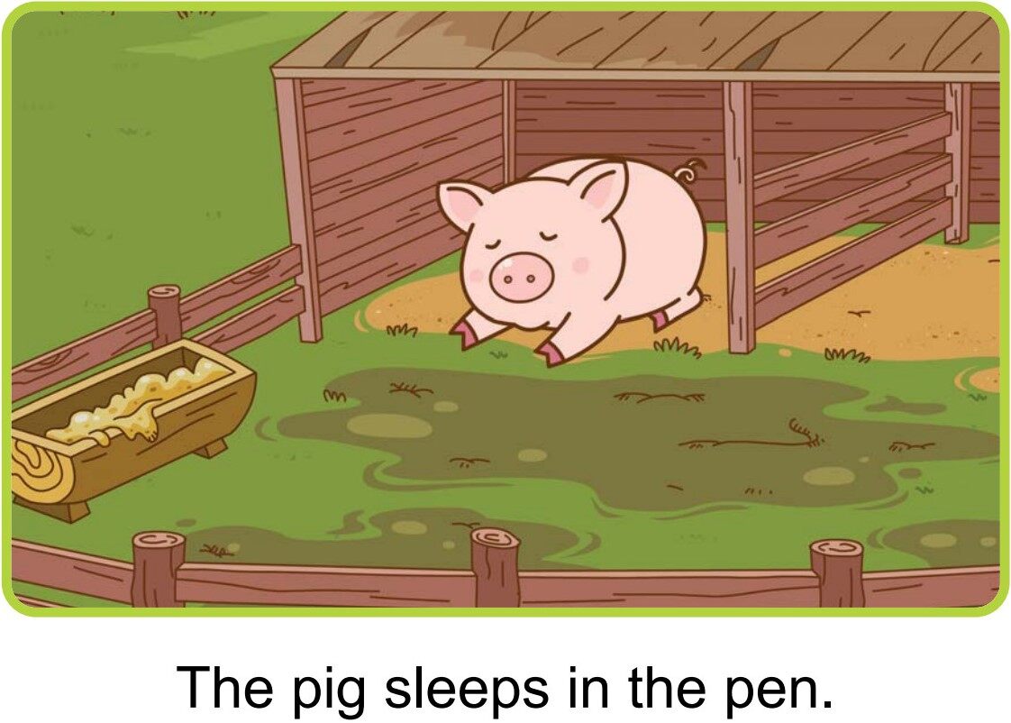 At Night绘本故事第3页