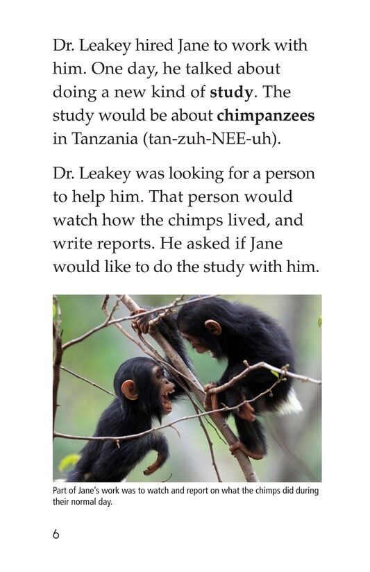 Jane Goodall绘本故事第5页