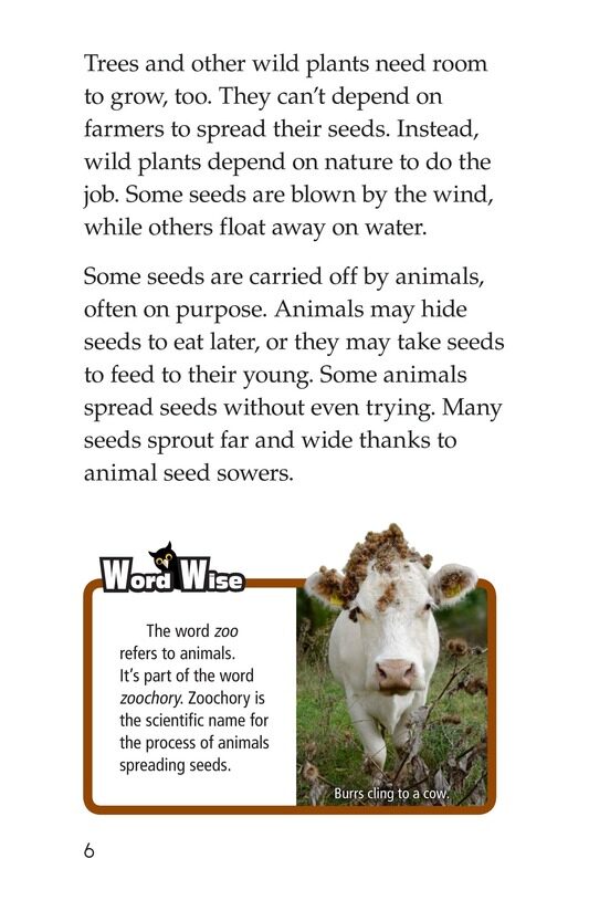 The Seed Sowers绘本故事第5页