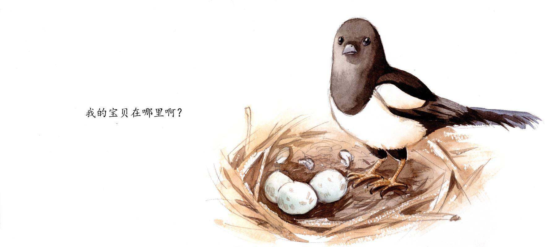 宝贝绘本故事第2页