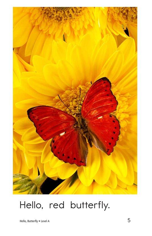 Hello,Butterfly绘本故事第5页