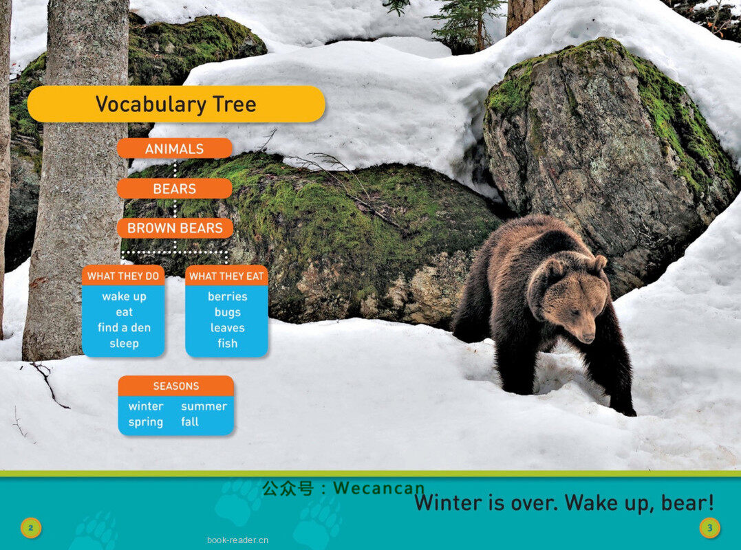 Sleep Bear绘本故事第3页