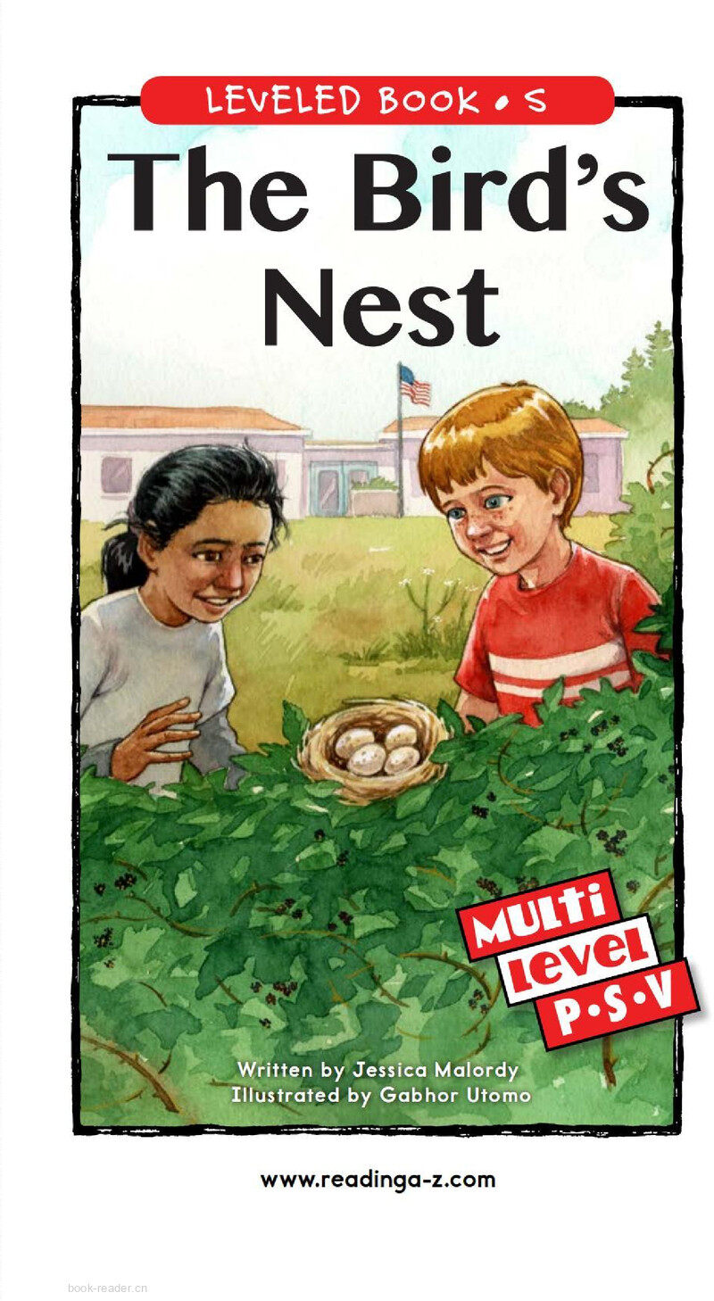 The Bird's Nest绘本故事第2页