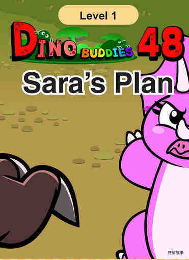 Sara's Plan
