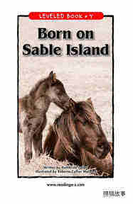 Born on Sable Island