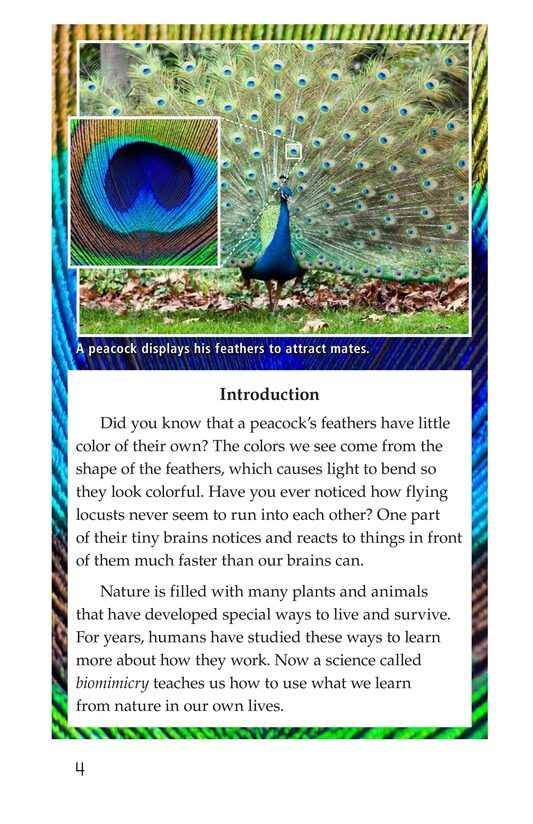Biomimicry绘本故事第3页