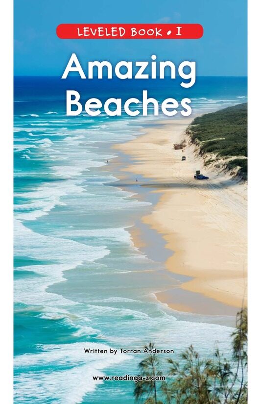 Amazing Beaches绘本故事第2页