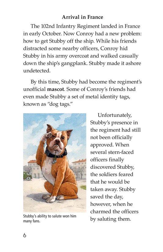 Sergeant Stubby绘本故事第5页