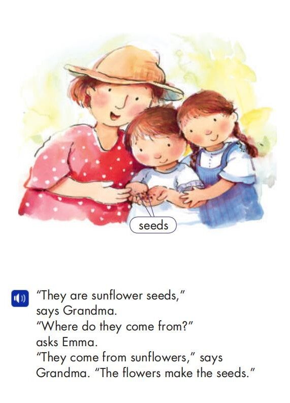 The Sunflower Questions绘本故事第4页