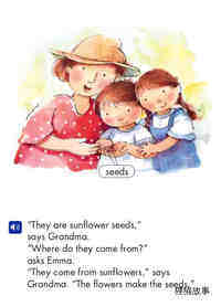 The Sunflower Questions绘本故事第4页