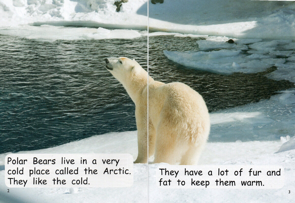 polar bear survival绘本故事第3页