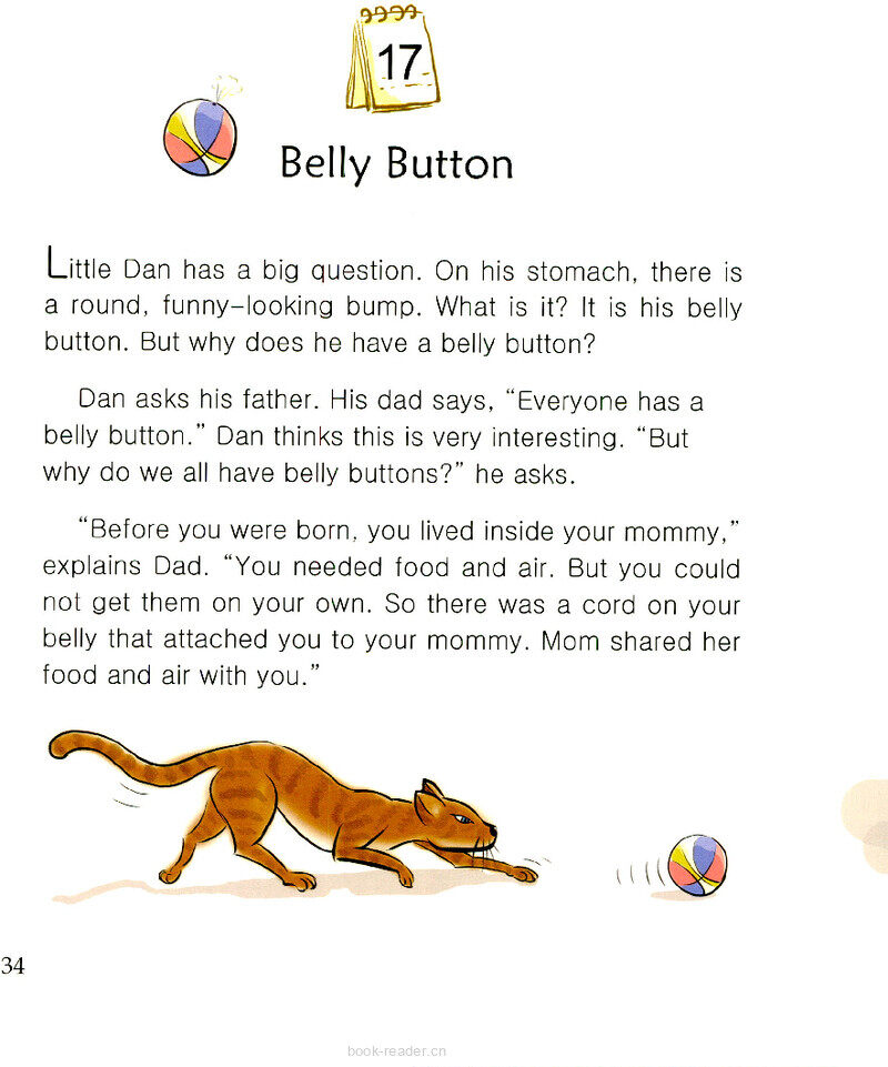 Belly Button绘本故事第2页